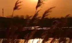 最感动mv：在岁月回声中拾起被遗忘的温柔