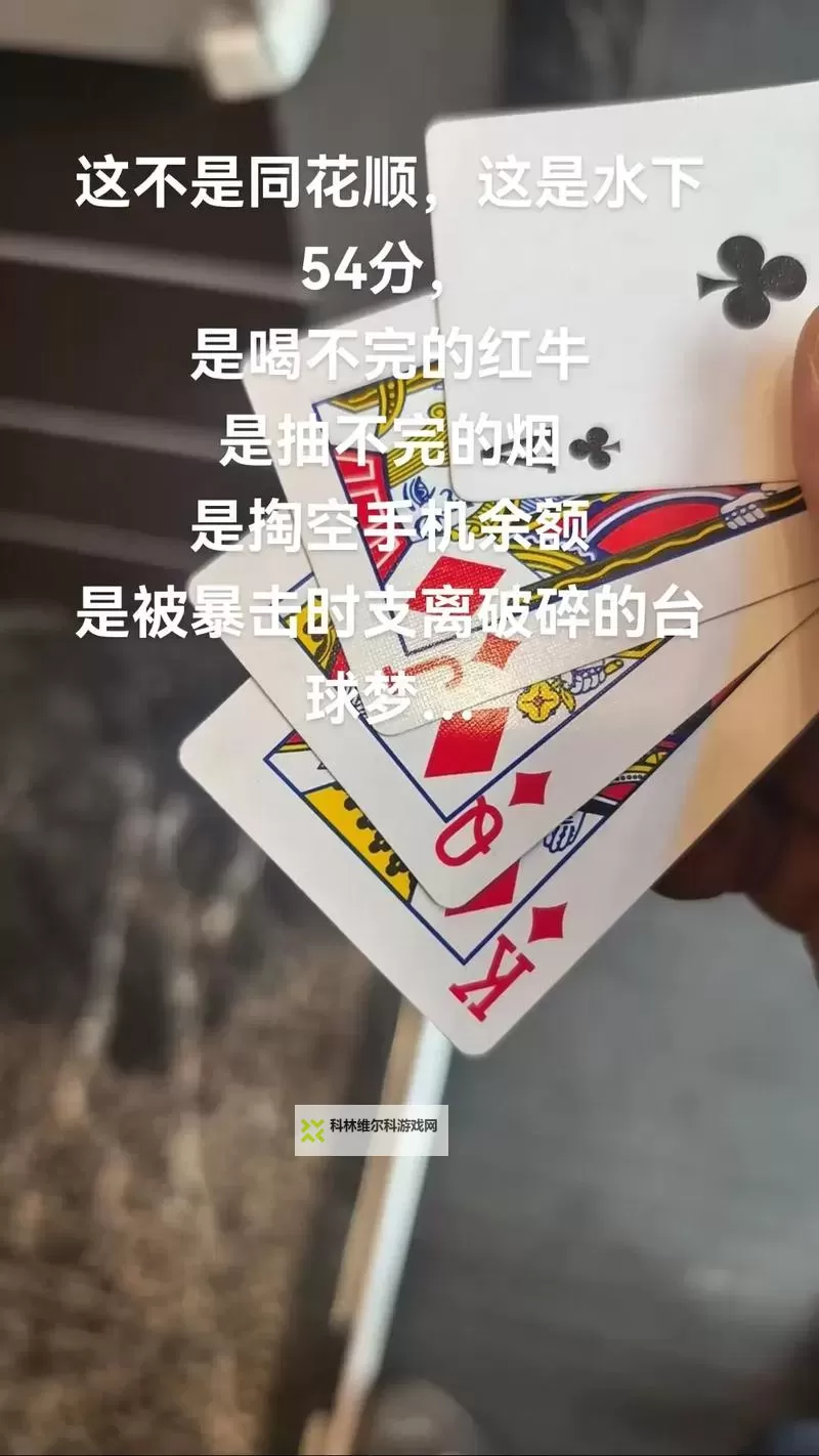 夜幕下的赌桌寓言：扑克牌又疼又叫免费网站 视频在街灯里回响图1