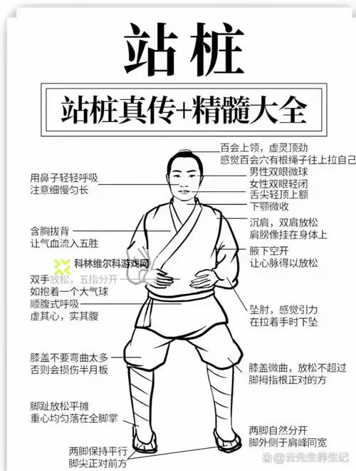 怎么练吸功和夹功:从入门到精通的武学气劲之路图1