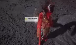 狐狸精电脑版下载 怎么电脑玩狐狸精？