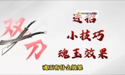 《永劫无间》双刀流玩法详细教学