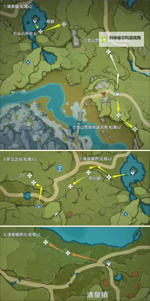 《原神》松茸采集线路推荐 原神松茸怎么获得图1