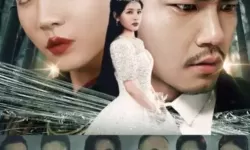 中国bgmbgmbgm老太太70在线：一位老太太的网络日常与真实故事