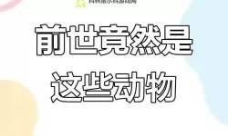 测前世身份(免费)：揭开前世记忆的神秘面纱