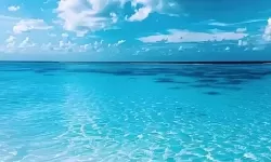 《潜行者2切尔诺贝利之心》变异狗打法技巧 变异狗怎么打