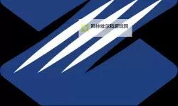 霓虹深处的回响：中国ZLJZLJZLJZLJ喷点亮夜色的传说