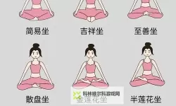 坐在上面怎么晃教程图片：平衡与节律在一个小动作里的隐喻之旅