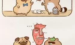 奇漫画中的月光森林