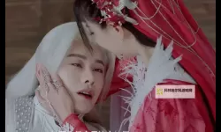 月歌行在线观看全集免费：剧情梳理与角色成长深度解析