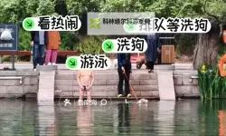 风景里的寓言：怎么让水越玩越多