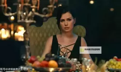 热血悬疑剧场：我的黑帮大佬第2季免费完整版震撼上线