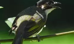 风起的街角：天天很天天透天天伊人