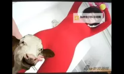 界线之镜：一二三区无码AV背后的光影叙事