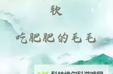 独家报道：姐姐的兔子好软水好多，引发网友热议