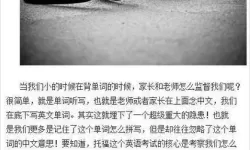坐在学霸的大紫根上背单词视频：坚持与好奇心编织的学习实录