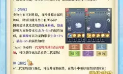 《萌宠之争》基础介绍：竞技场规则玩法详解
