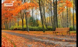 萌消乐西游怎么双开  萌消乐西游双开挂机软件推荐